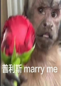中午吃了牛黄解毒片