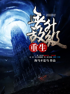 重生无系统无异能的小说