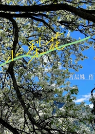 小梨花车模照片