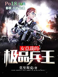 女总裁的极品兵王同类型小说